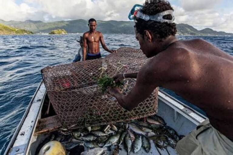 REPOS BIOLOGIQUE : LA PÊCHE DÉSORMAIS ENCADRÉ PAR DÉCRET DANS LES EAUX MARITIMES ET CONTINENTALES